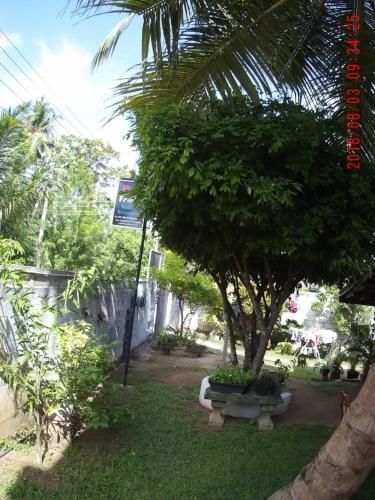 Outdoor Pictures 19