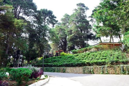 Outdoor Pictures 21