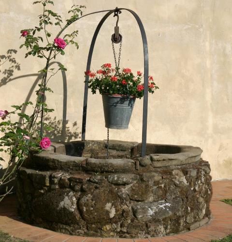 Outdoor Pictures 18