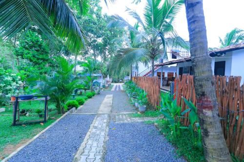 Outdoor Pictures 21