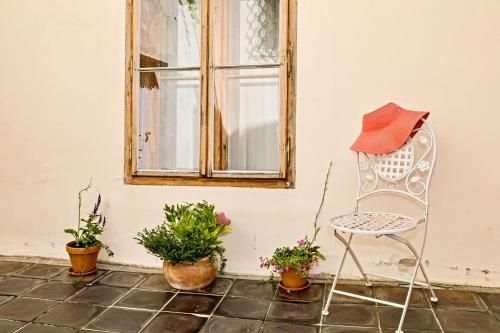 Outdoor Pictures 20