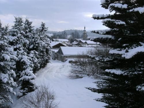 Outdoor Pictures 7