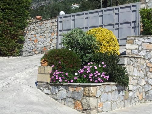 Outdoor Pictures 7