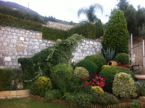 Outdoor Pictures 8