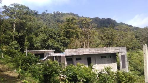 Phuket Phuchada Residence