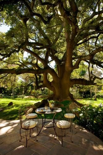 Outdoor Pictures 20