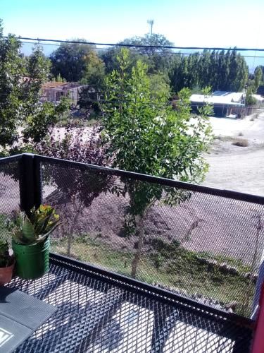 Outdoor Pictures 11