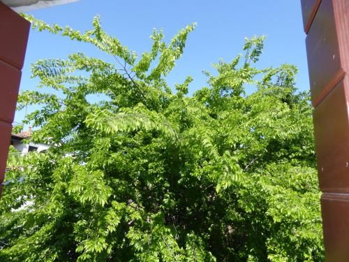 Outdoor Pictures 24