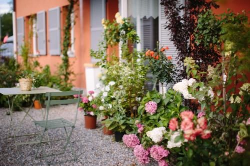 Outdoor Pictures 20