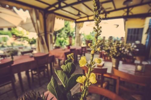 Outdoor Pictures 22
