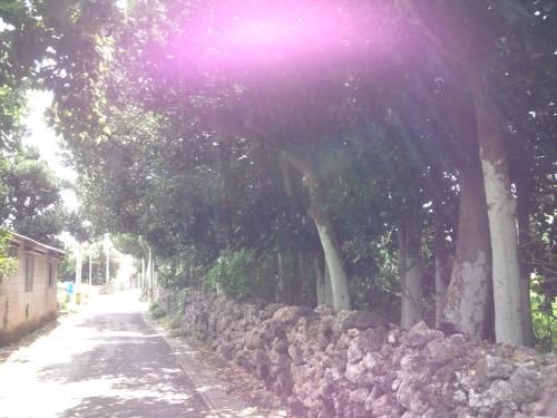 Outdoor Pictures 21