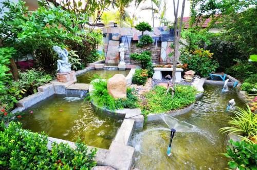 Outdoor Pictures 10