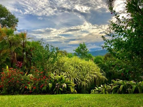 Outdoor Pictures 10