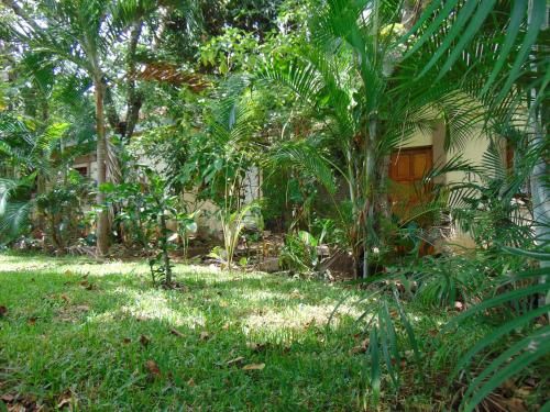 Outdoor Pictures 19