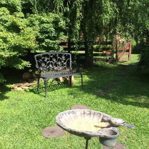 Outdoor Pictures 5