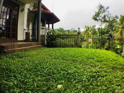 Outdoor Pictures 21