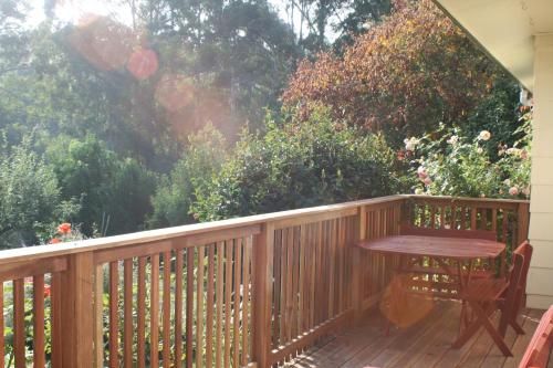 Outdoor Pictures 8