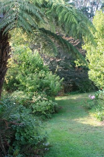 Outdoor Pictures 22