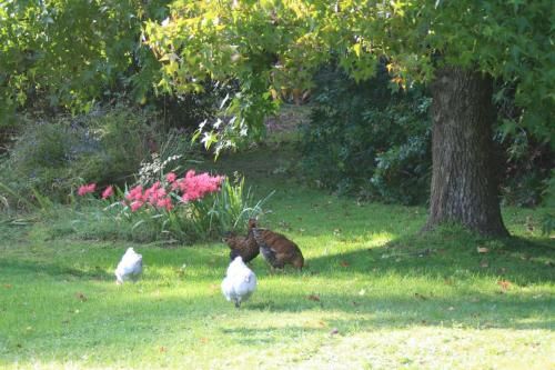 Outdoor Pictures 24