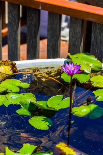 Outdoor Pictures 20