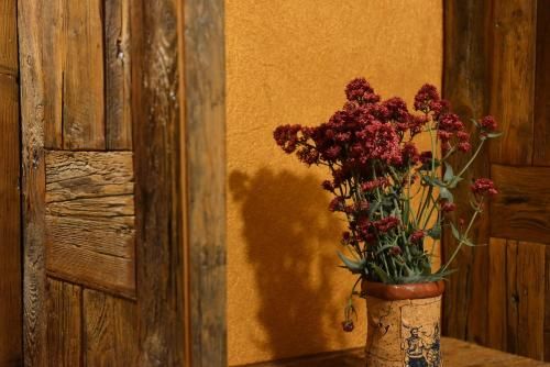Outdoor Pictures 9
