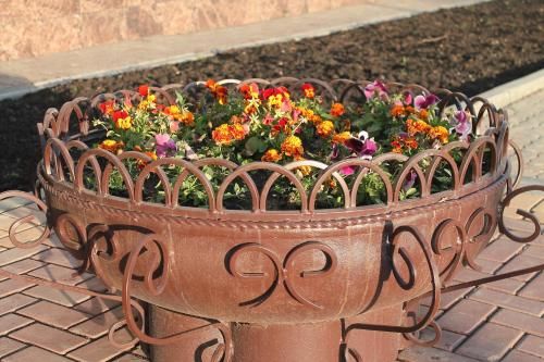 Outdoor Pictures 23