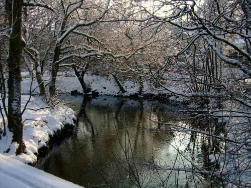 Outdoor Pictures 20