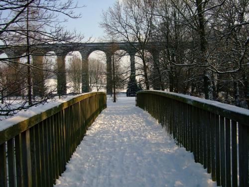 Outdoor Pictures 22