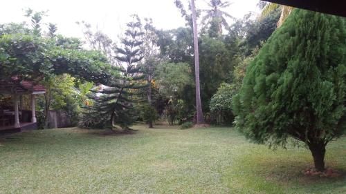 Outdoor Pictures 7
