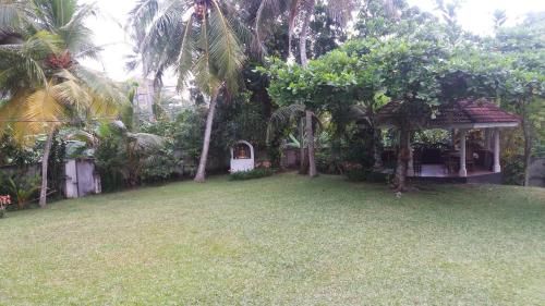 Outdoor Pictures 9
