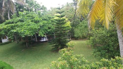 Outdoor Pictures 15