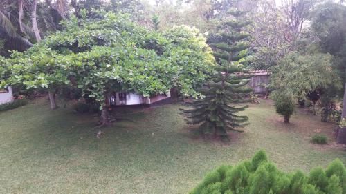 Outdoor Pictures 17
