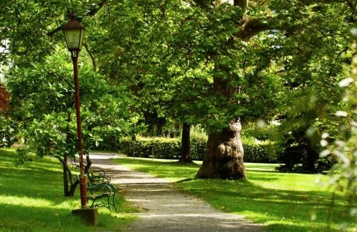 Outdoor Pictures 22