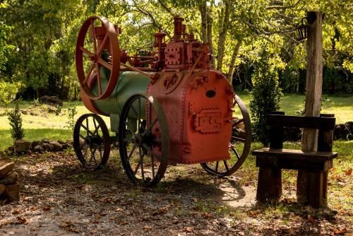 Outdoor Pictures 19