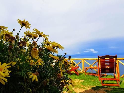 Outdoor Pictures 12