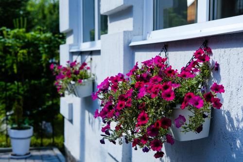 Outdoor Pictures 21