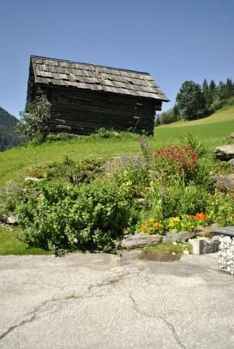 Outdoor Pictures 24