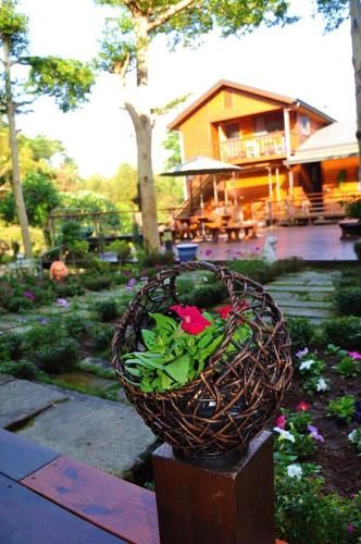 Outdoor Pictures 23