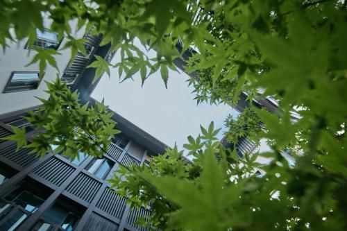 Outdoor Pictures 21