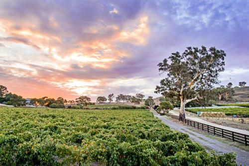 Brockenchack Vineyard Bed & Breakfast
