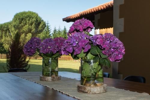Outdoor Pictures 24