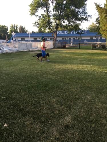 Outdoor Pictures 12