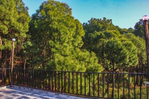 Outdoor Pictures 21