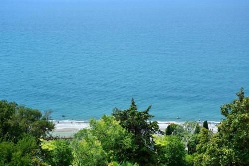 Outdoor Pictures 22