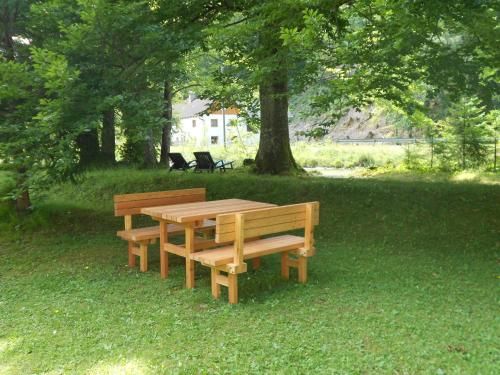 Outdoor Pictures 15