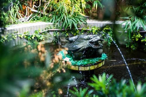 Outdoor Pictures 22