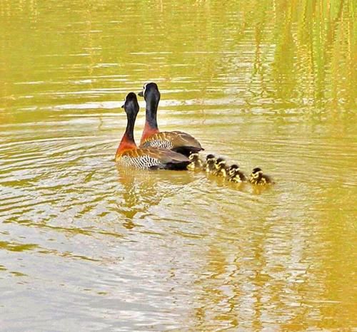 Outdoor Pictures 21