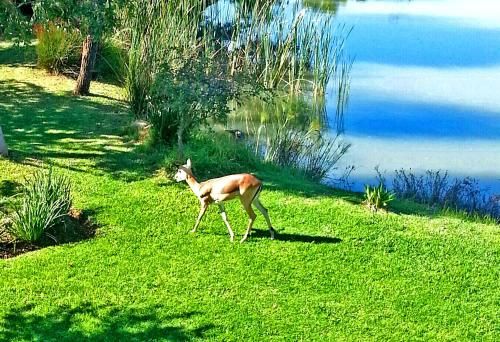 Outdoor Pictures 19