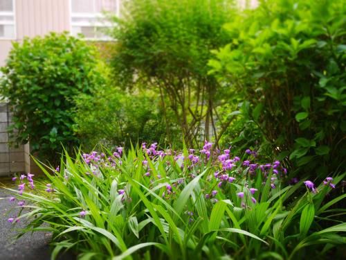 Outdoor Pictures 16