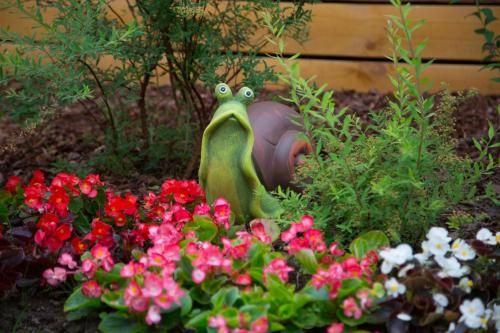 Outdoor Pictures 21